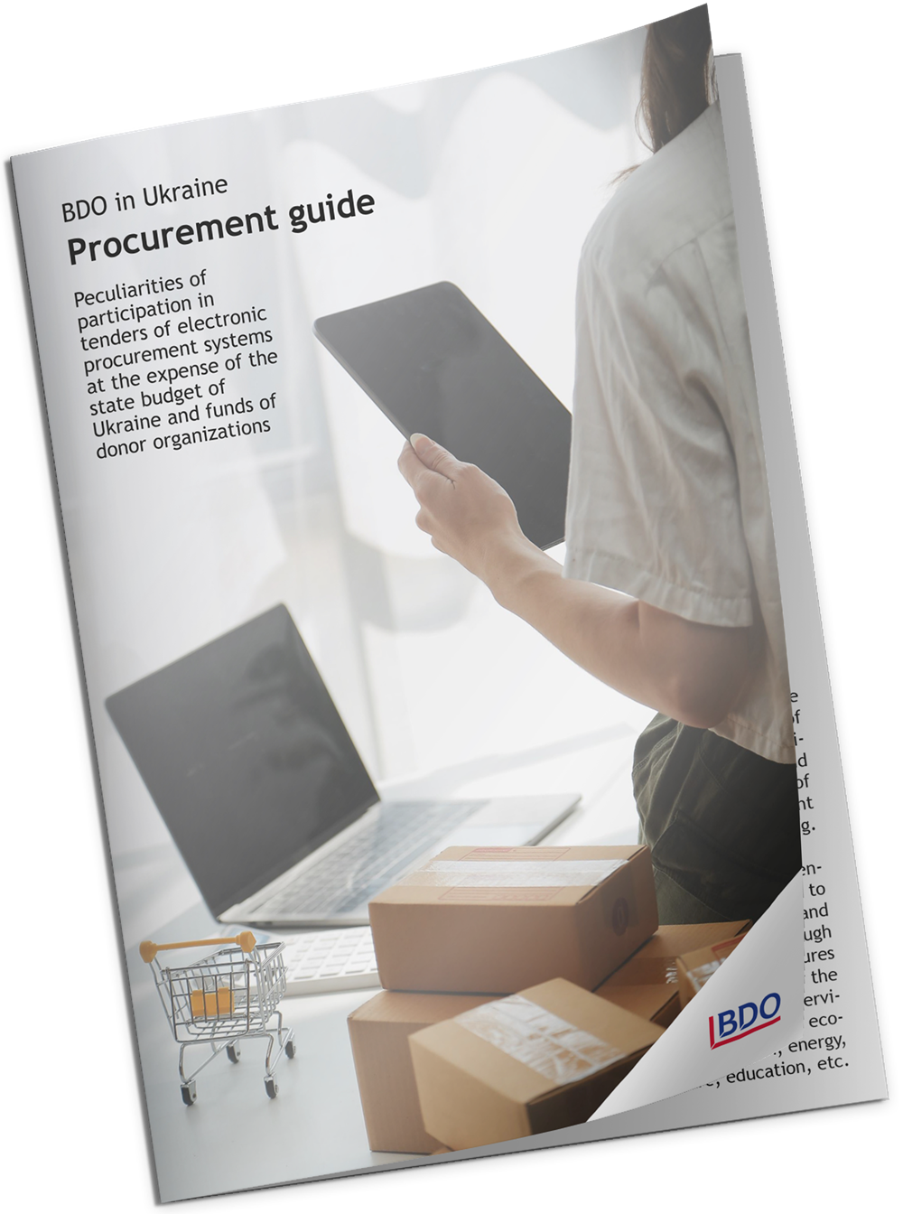 Procurement's Guide